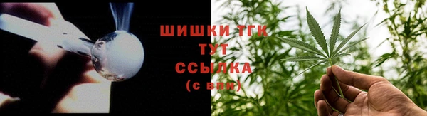 молекула духа Богородск