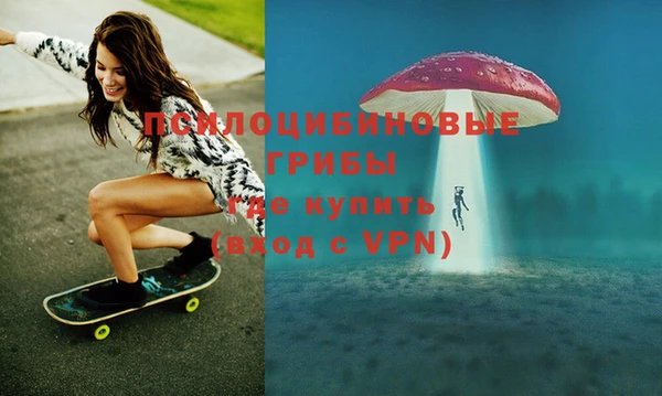 MDMA Богородицк