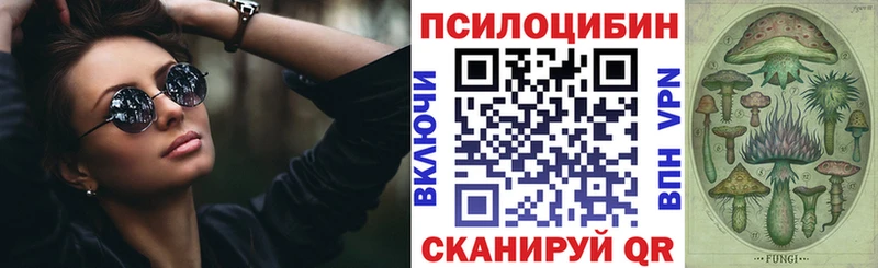 Псилоцибиновые грибы прущие грибы  Купить  Пласт 