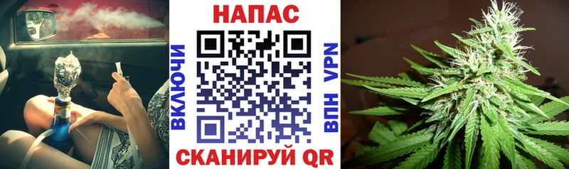 Конопля марихуана  Купить где  Пласт 